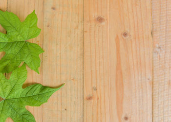 High angle view of leaves on wood