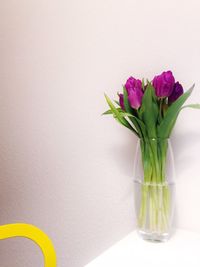 Close-up of flowers in vase