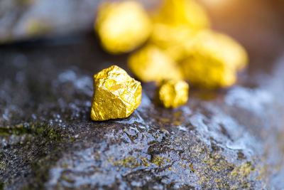 Close-up of yellow leaf on rock