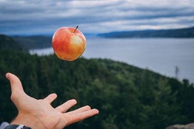 Cropped image of hand holding fruit against sky