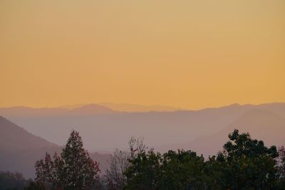 Silhouette trees against sky during sunset