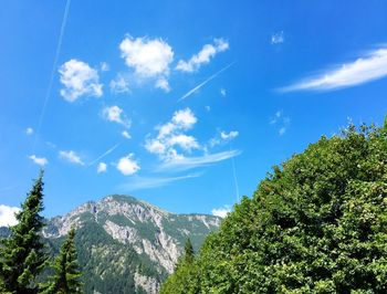 Low angle view of trees against cloudy sky