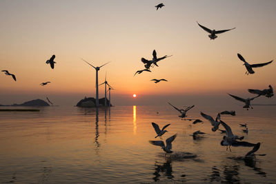 Seagulls flying over sea during sunset