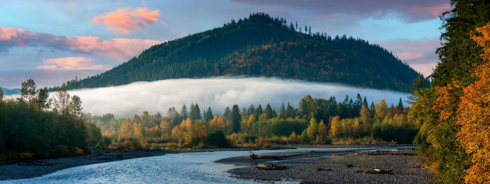 Nooksack river, washington. early autumn morning on the nooksack river with ground fog.