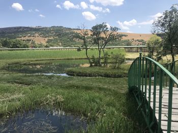 Scenic view of field against sky