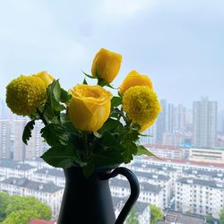 Close-up of yellow flowering plant against sky