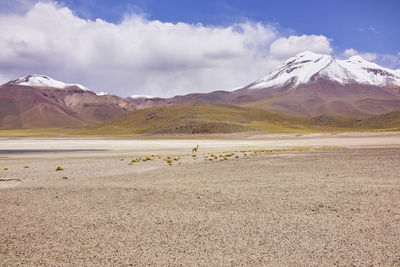 Scenic view of desert against sky