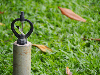 Close-up of metal grass