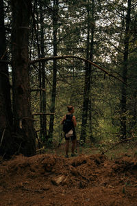 Rear view of man walking in forest