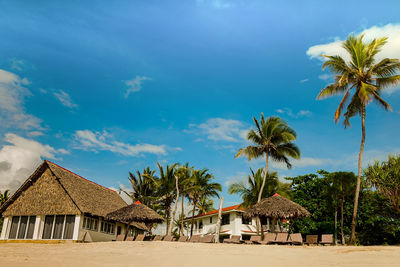 Palm trees and houses against sky