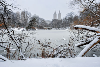 Bare trees on snow covered field by buildings against sky