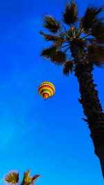 Low angle view of palm tree against clear blue sky