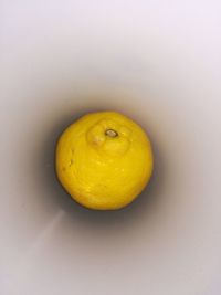 Close-up of yellow fruit against white background