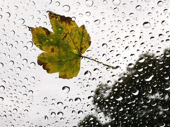 Full frame shot of raindrops on wet glass