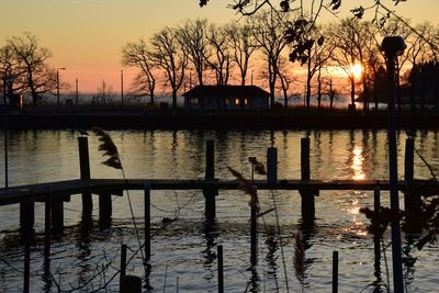 Silhouette trees by river against sky during sunset