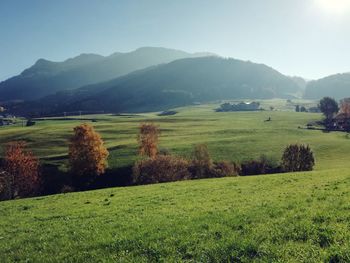 Scenic view of field and mountains against clear sky