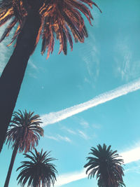 Low angle view of palm trees against cloudy sky