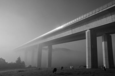 View of bridge in foggy weather