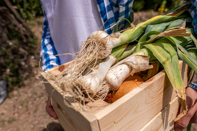 Close-up of rice in basket