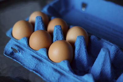 High angle view of eggs on table