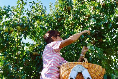 Midsection of woman standing by tree against plants