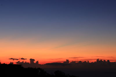 Scenic view of silhouette trees against sky during sunset