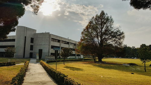 Street amidst trees and buildings against sky