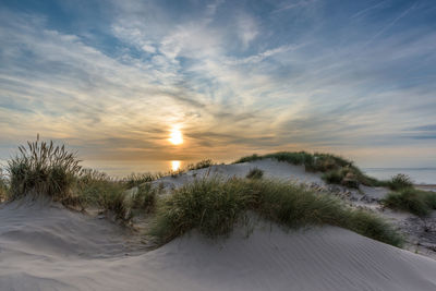 Scenic view of beach against sky during sunset