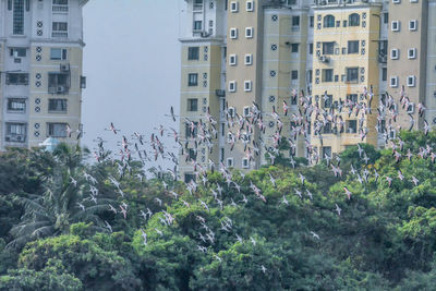 Trees and buildings in city