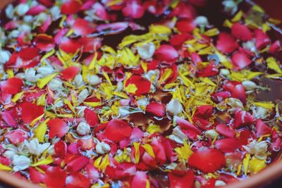 Full frame shot of red berries