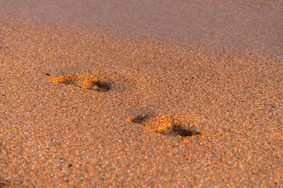 High angle view of footprints on sand