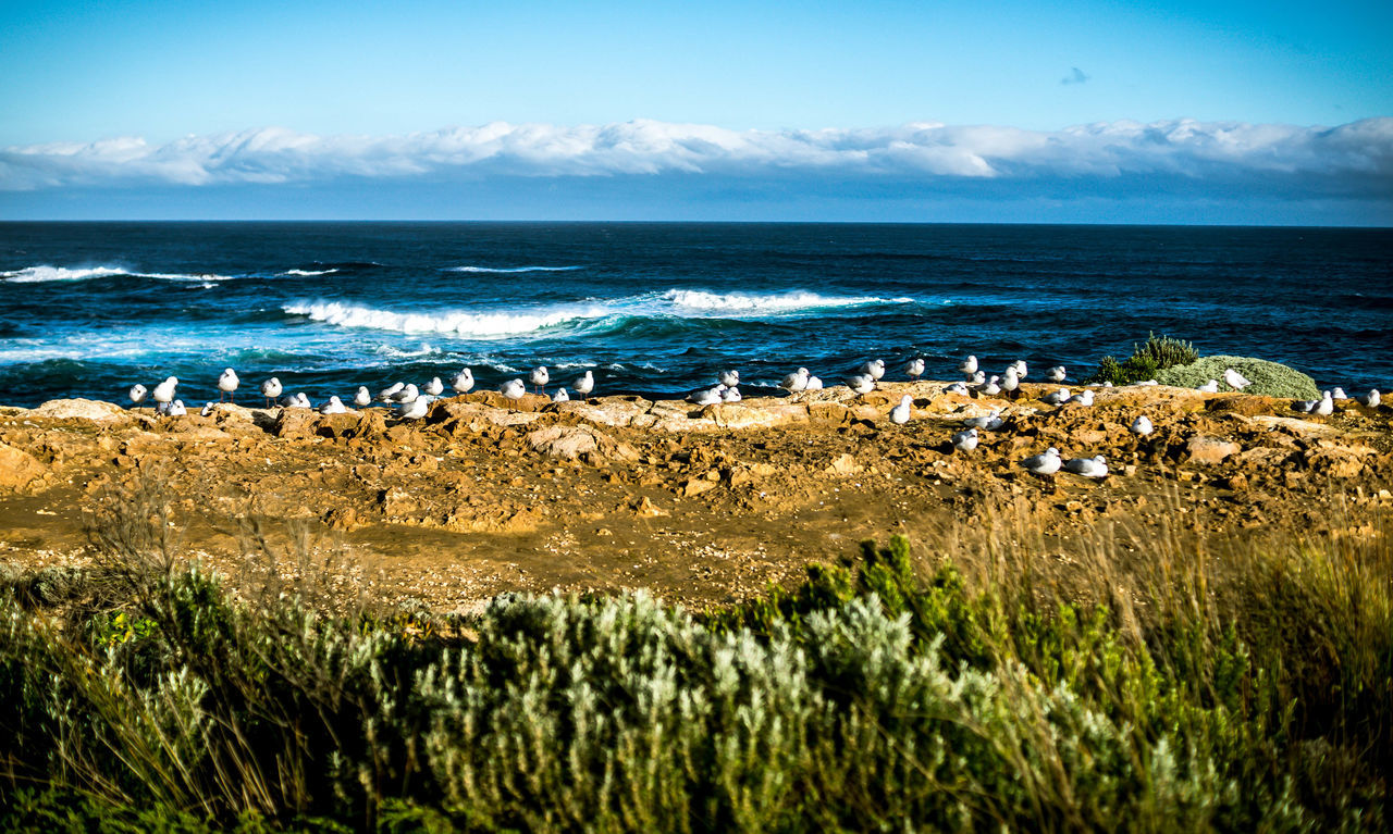 Thunder point warnambool