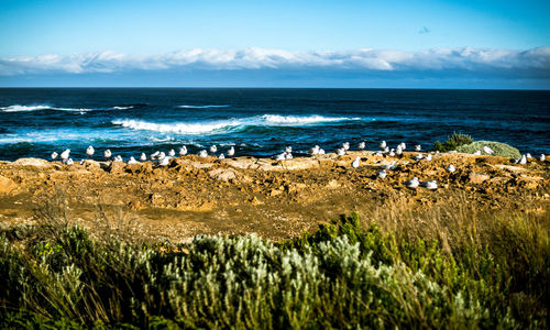 Panoramic view of sea against sky