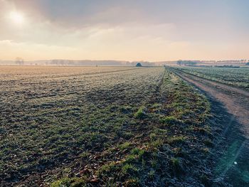 Scenic view of field against sky during sunset