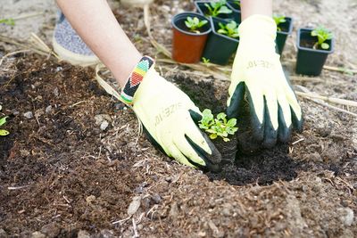 Midsection of woman holding plant