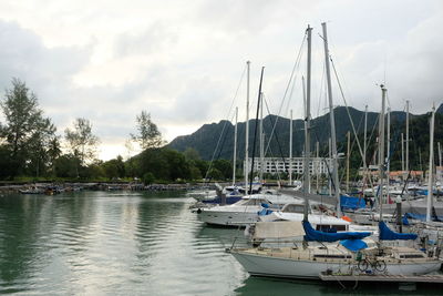 Sailboats moored in harbor against sky