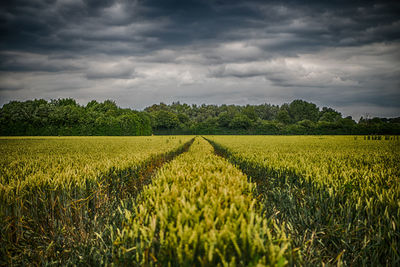 Scenic view of field against cloudy sky