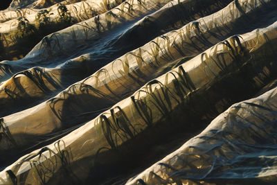 Full frame shot of rocks