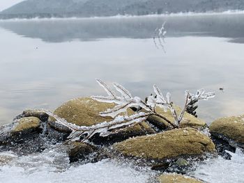 Scenic view of frozen lake during winter