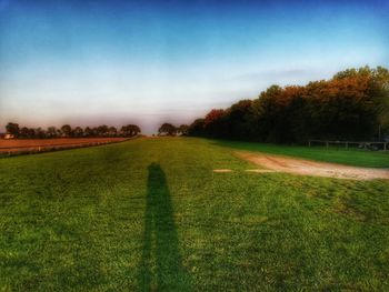 Scenic view of field against sky