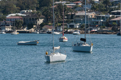 Yachts and fishing boats in the bay with residential buildings on the background. gunnamata bay