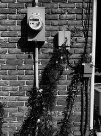 Road in front of house