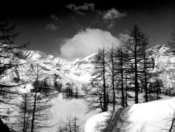 Snow covered landscape