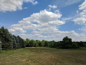 Trees on field against sky