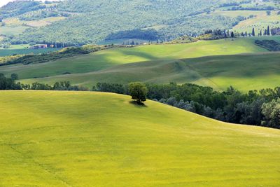 Scenic view of golf course