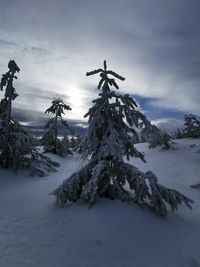 Sculpture on snow covered land against sky