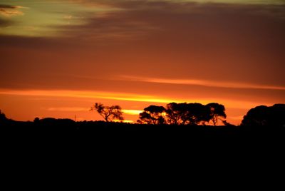 Silhouette trees on landscape against orange sky