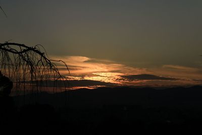 Scenic view of sea against orange sky