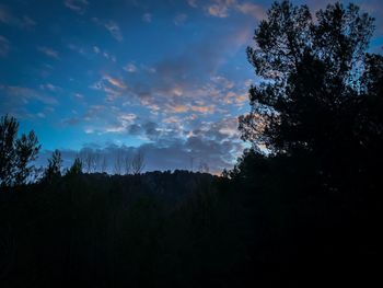 Low angle view of silhouette trees against sky at sunset