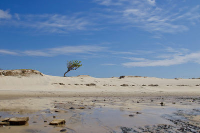 Scenic view of desert against sky